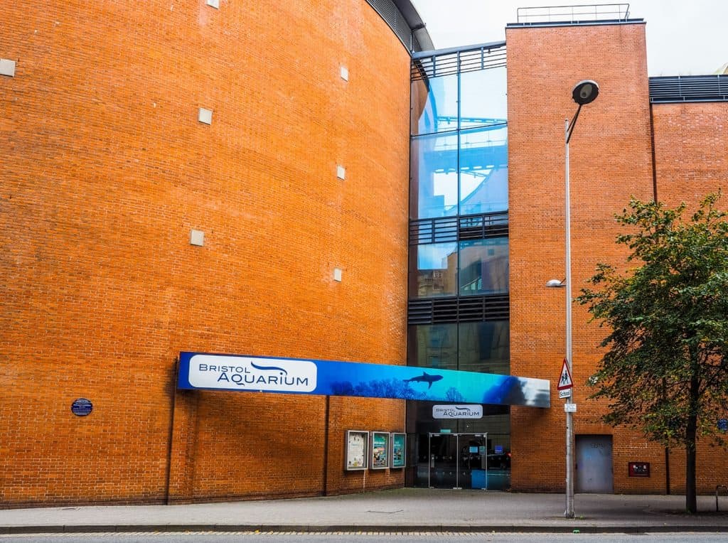 Bristol Aquarium