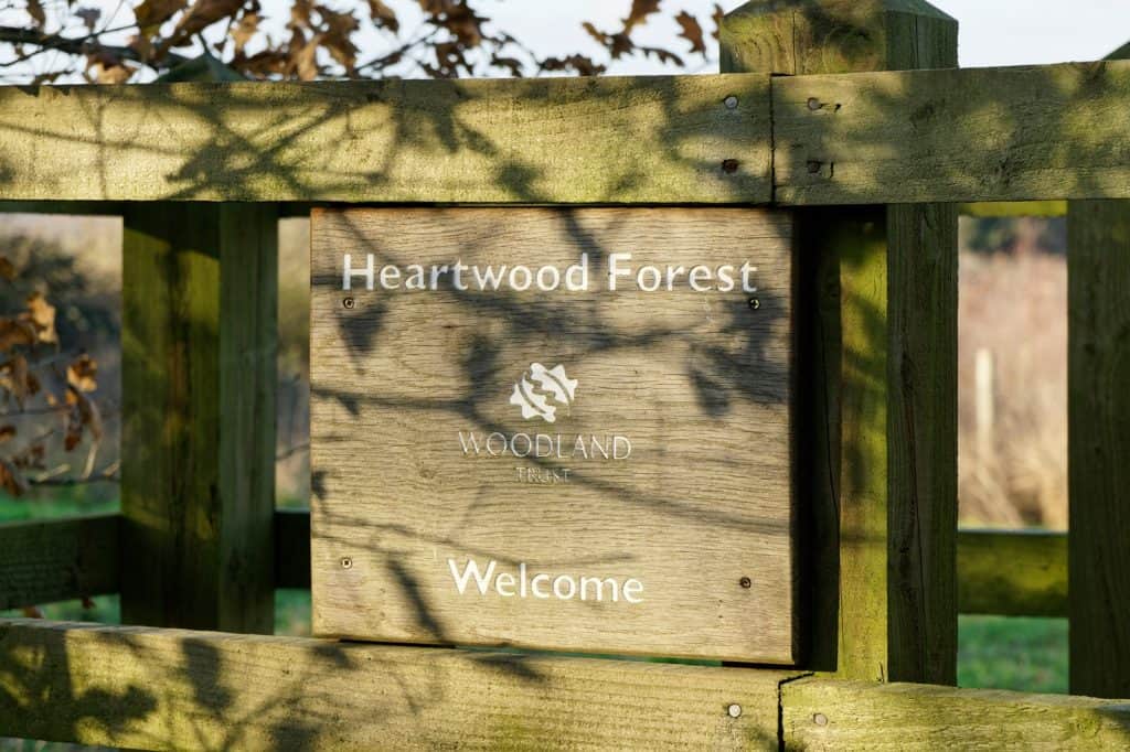 Heartwood Forest