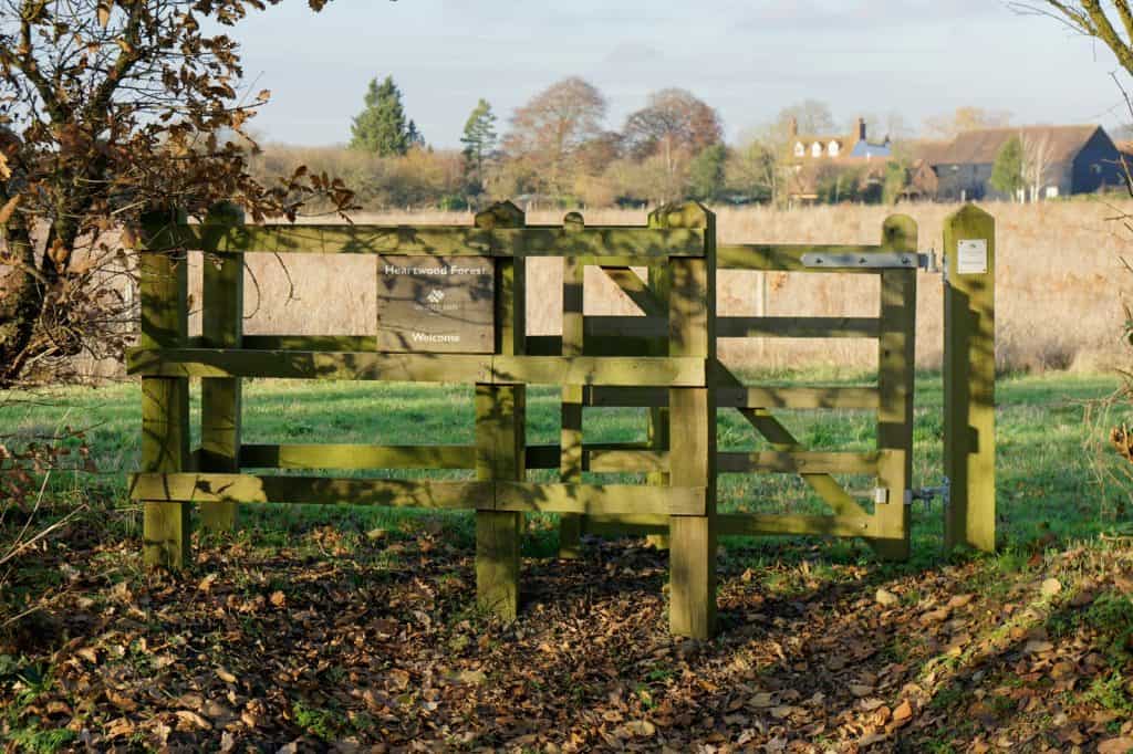 Heartwood Forest