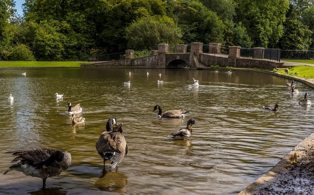 Verulamium Park