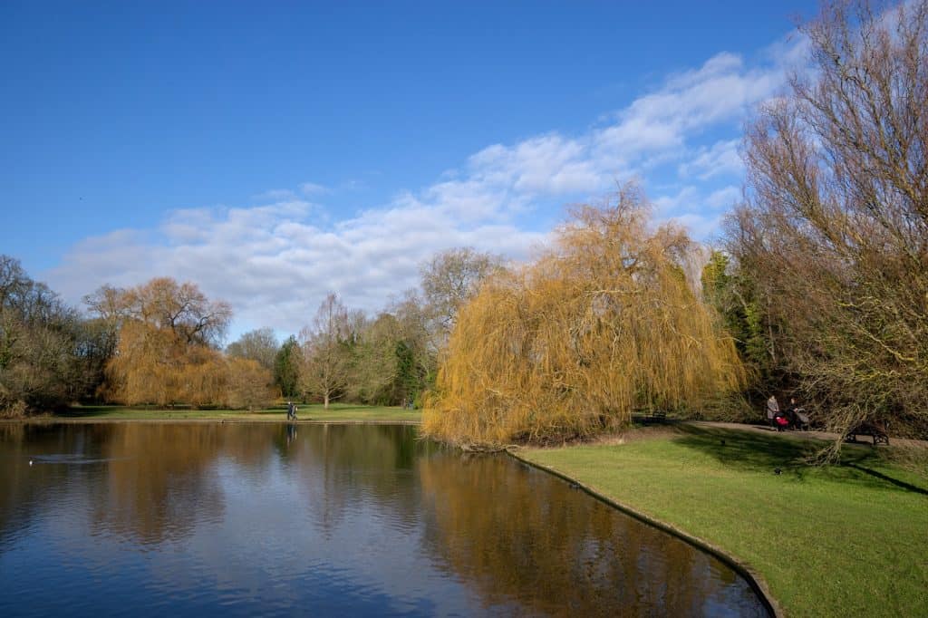 Verulamium Park