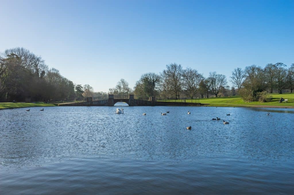 Verulamium lake