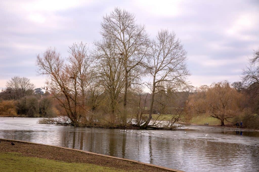 Verulamium lake