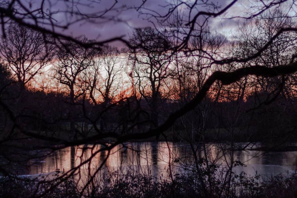 Coate Water Country Park