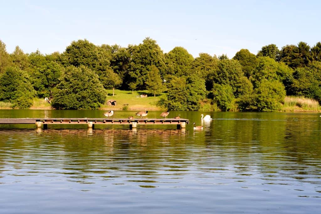 Coate Water Country Park