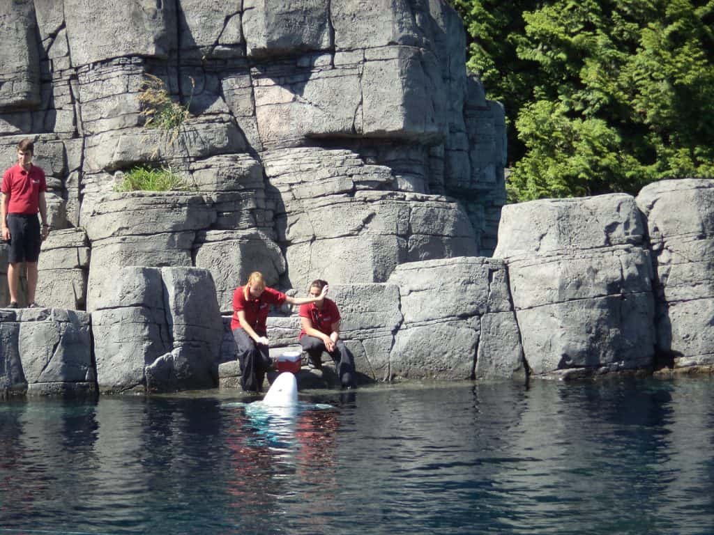 Acuario de Vancouver