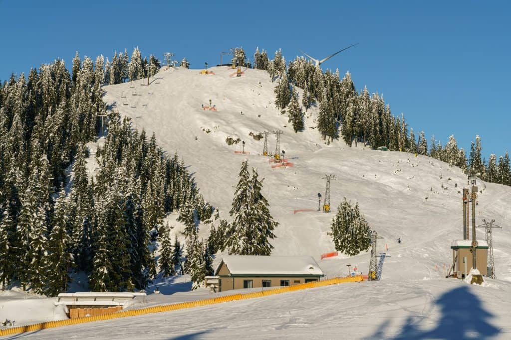 Montaña Grouse