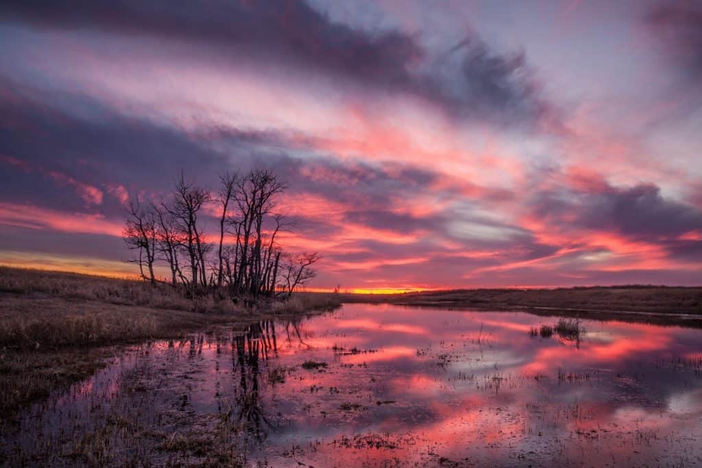 Swift Current