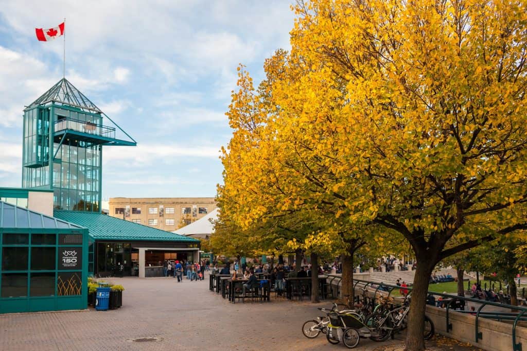 The Forks Market