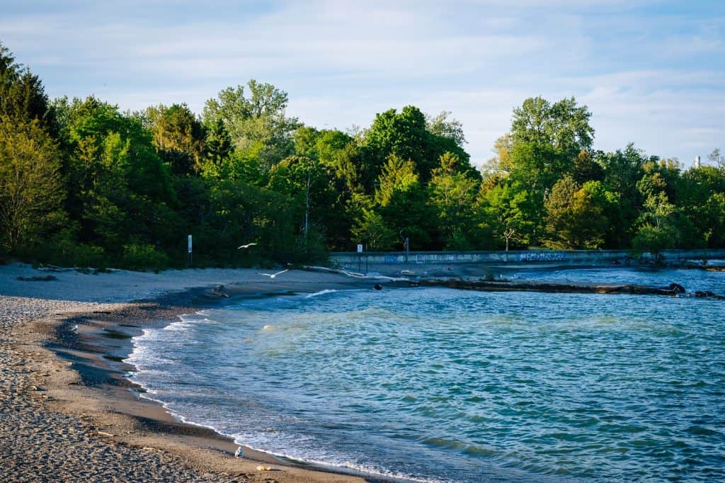 Toronto Islands