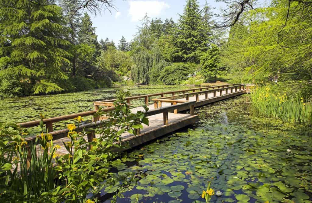 VanDusen Botanical Garden