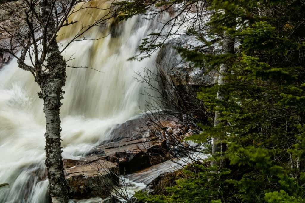 Grand Falls-Windsor