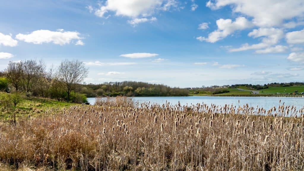 Herrington Country Park