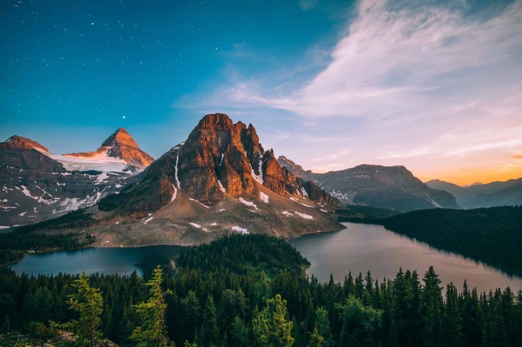 Assiniboine Forest