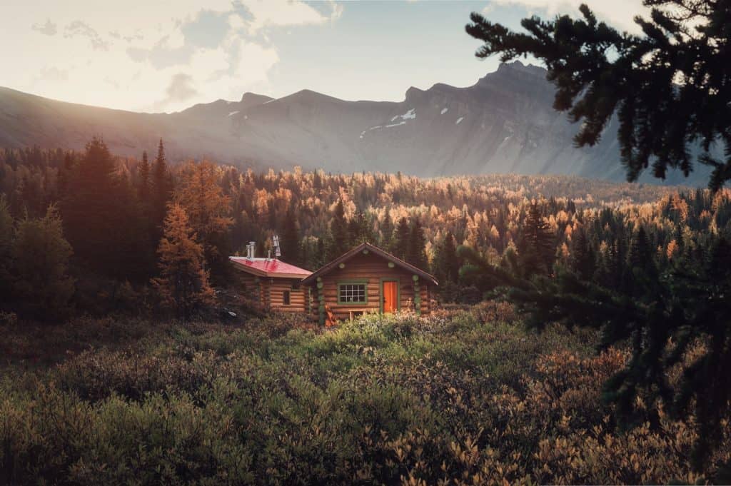 Assiniboine Forest