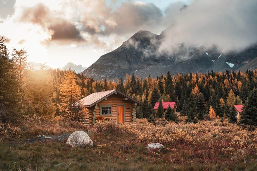 Assiniboine Forest