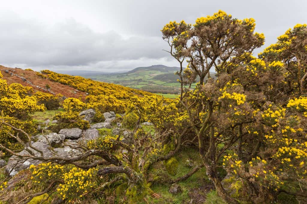 Comeragh Mountains