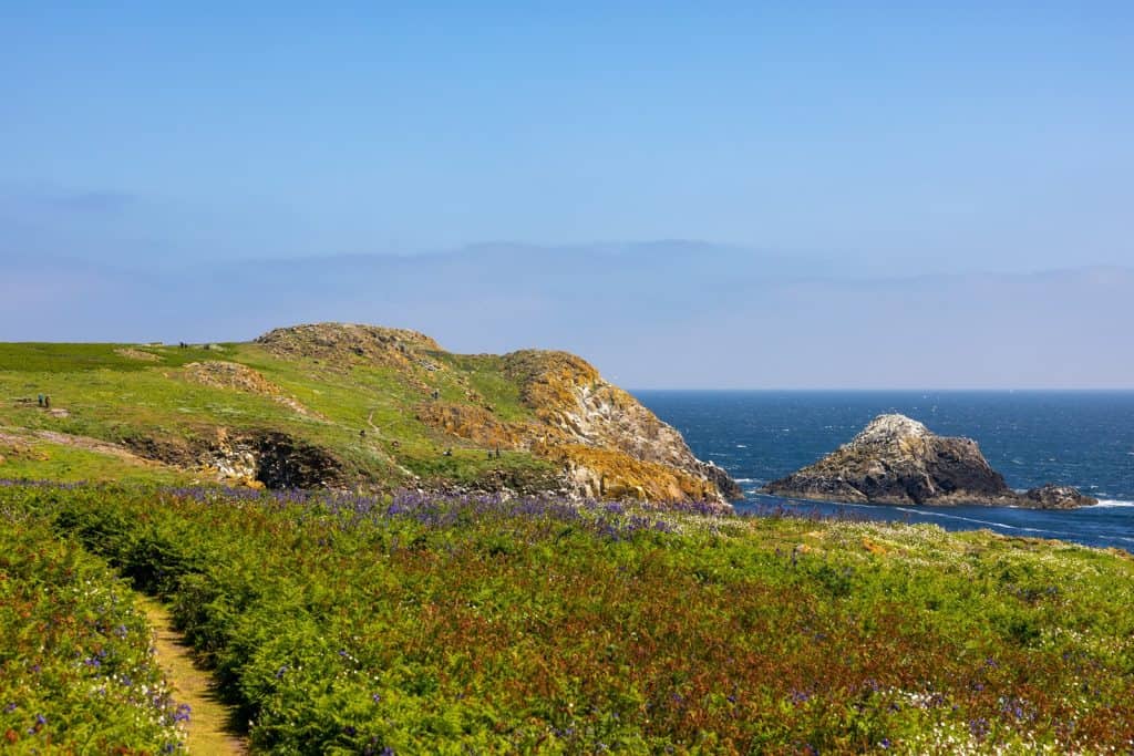 Saltee Islands