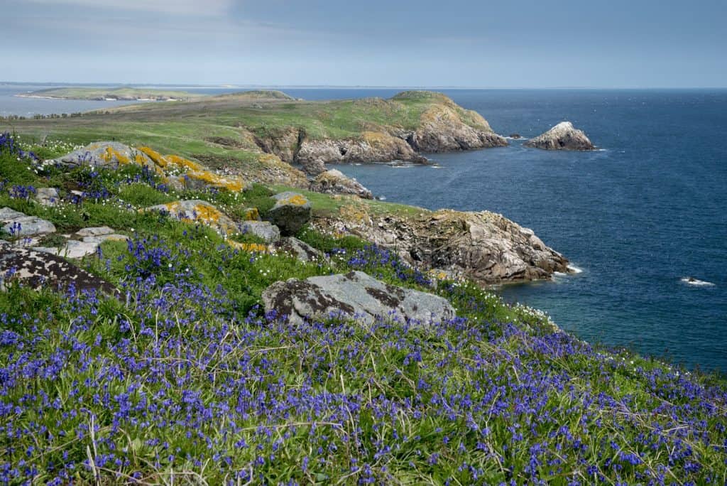 Saltee Islands