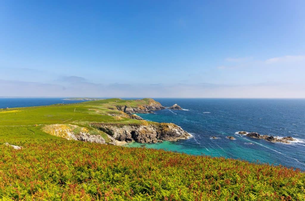 Saltee Islands