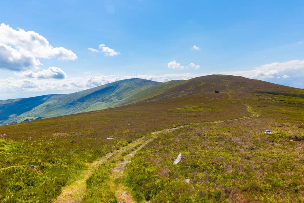 Mount Leinster