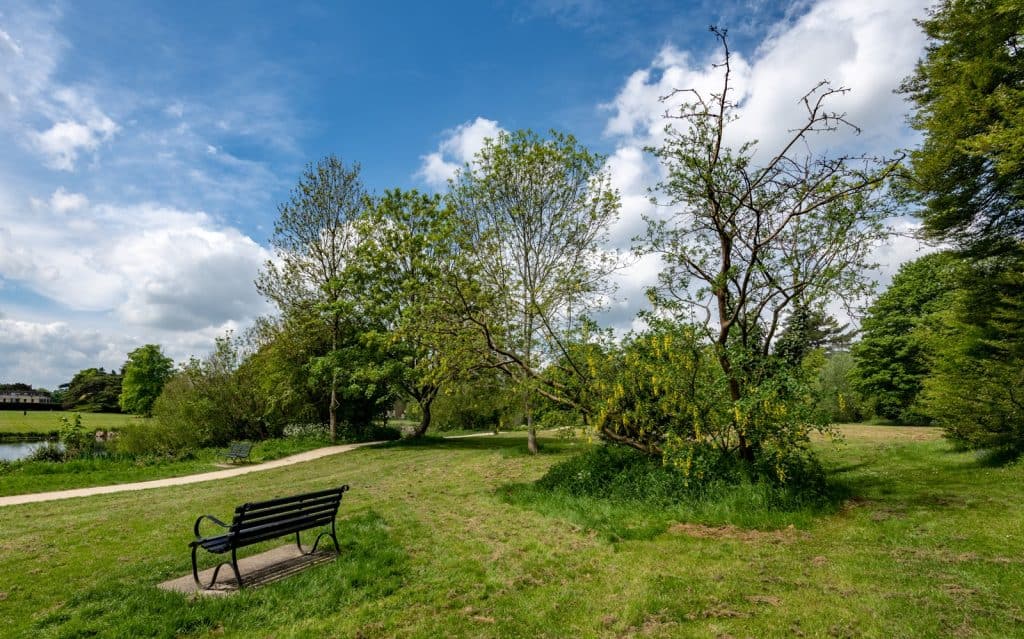 Parque de los Terrenos de la Abadía