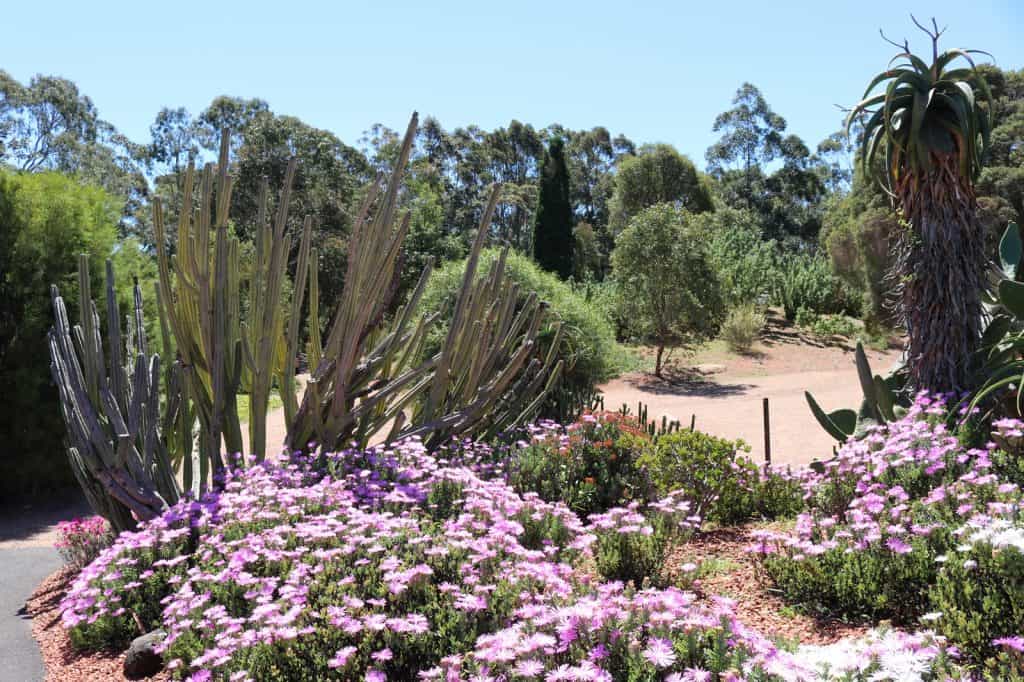 Jardín Botánico Australiano Shepparton