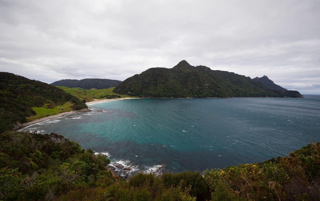 Bream Head