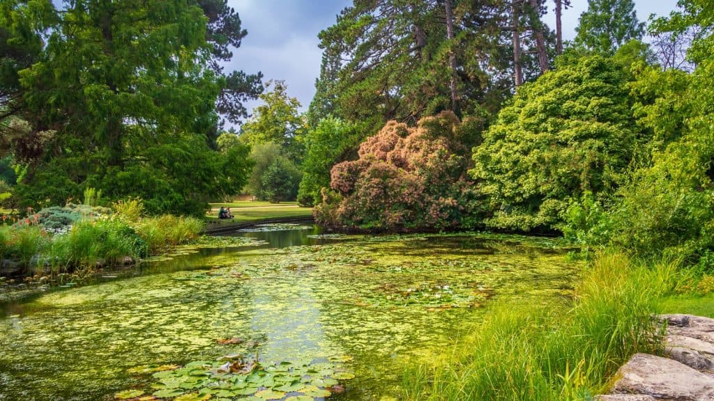Jardín Botánico de la Universidad de Cambridge