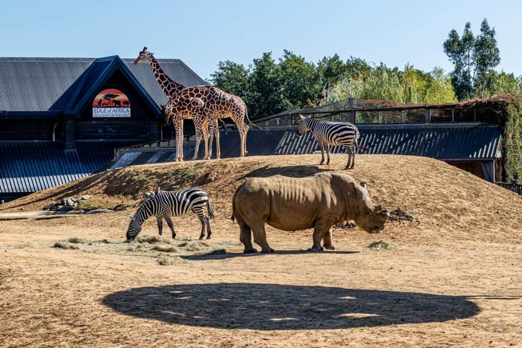 Zoológico de Colchester