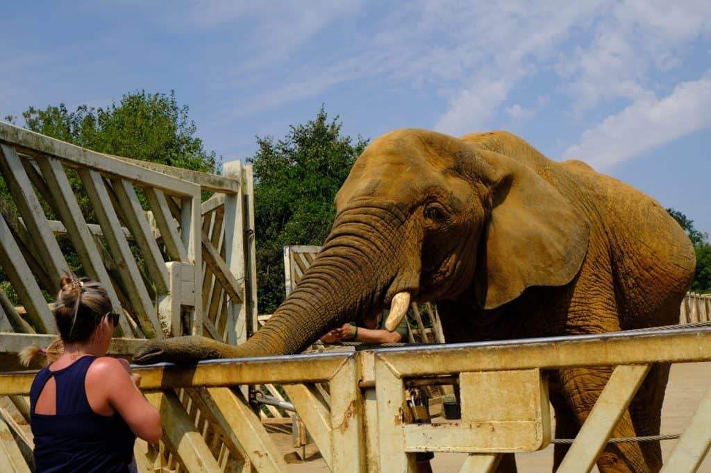 Zoológico de Colchester