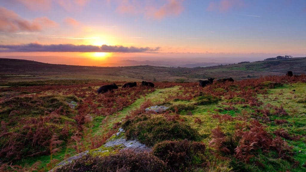 Dartmoor, atardecer en Devon