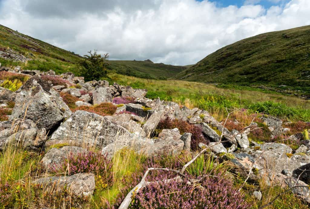 Parque Nacional de Dartmoor