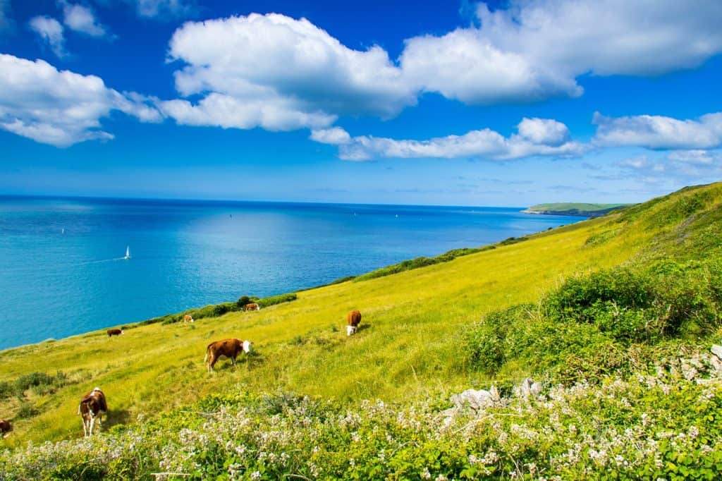 Parque Nacional de Durlston