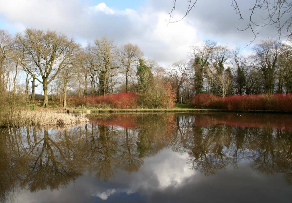 Haigh Country Park