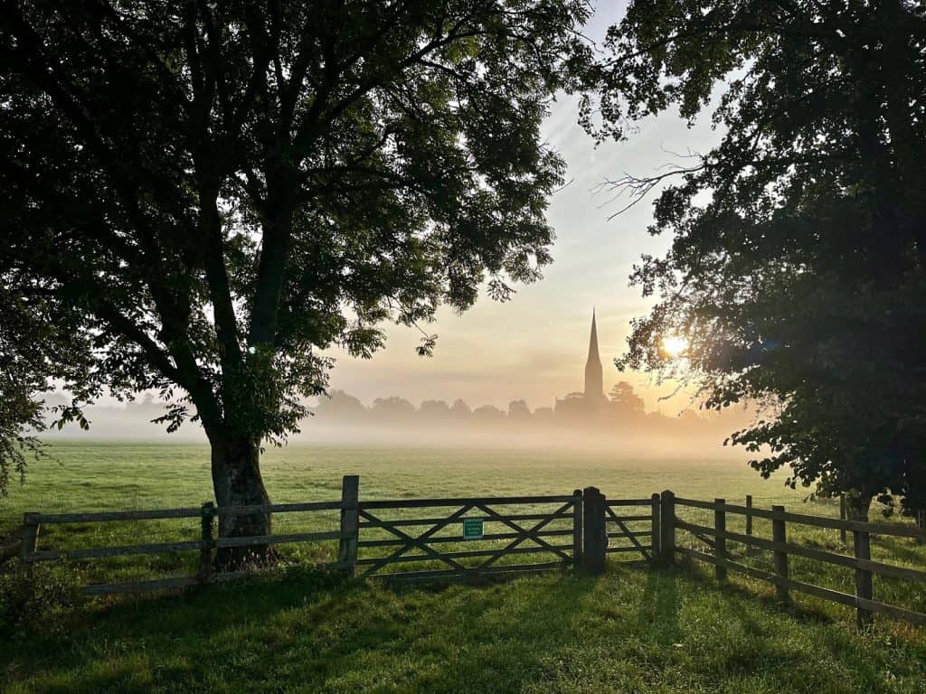 Harnham Water Meadows