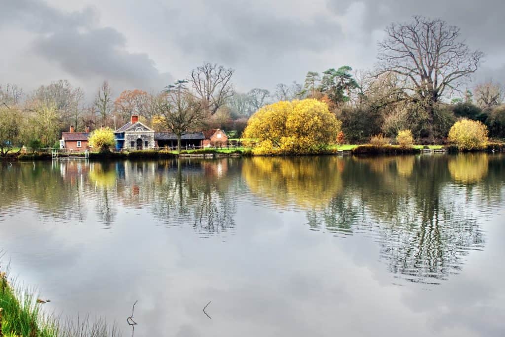 Bosque de Hatfield