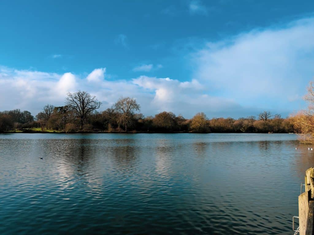 Bosque de Hatfield