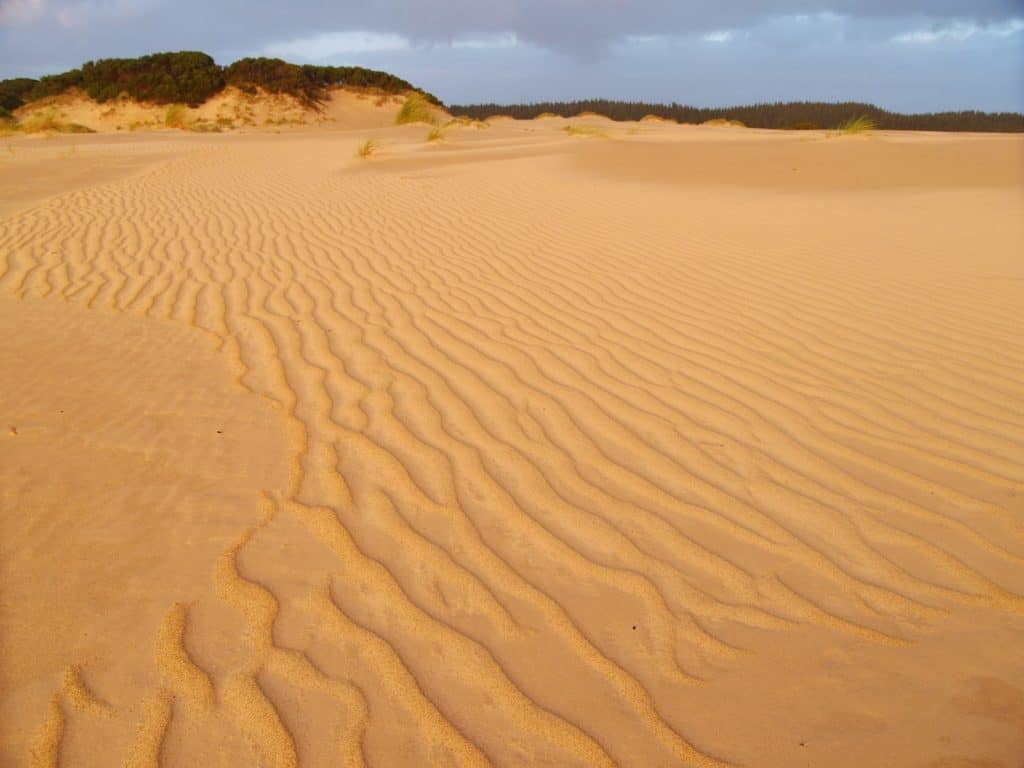 Henty Dunes