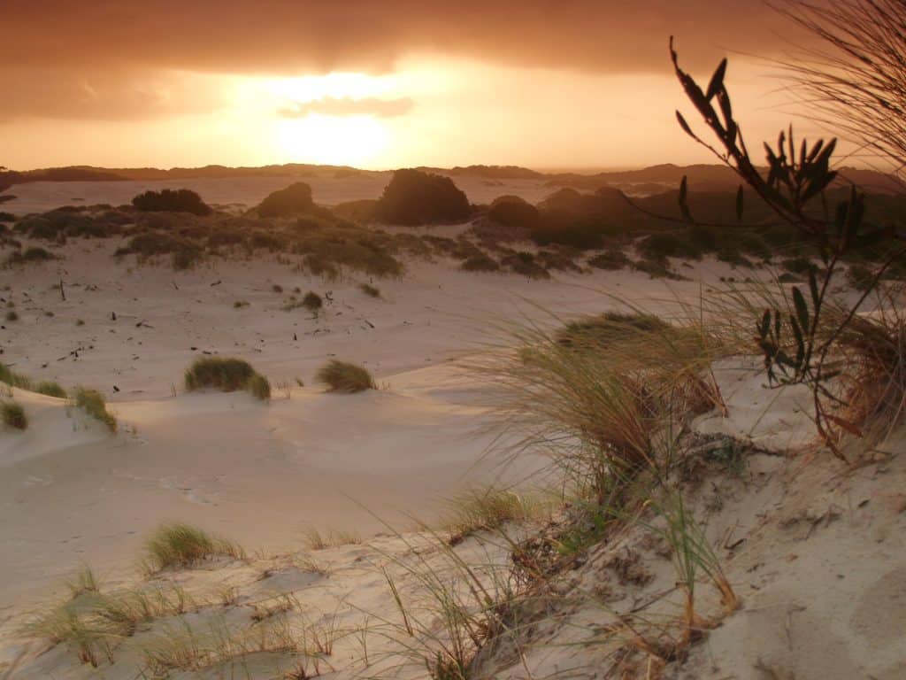 Henty Dunes