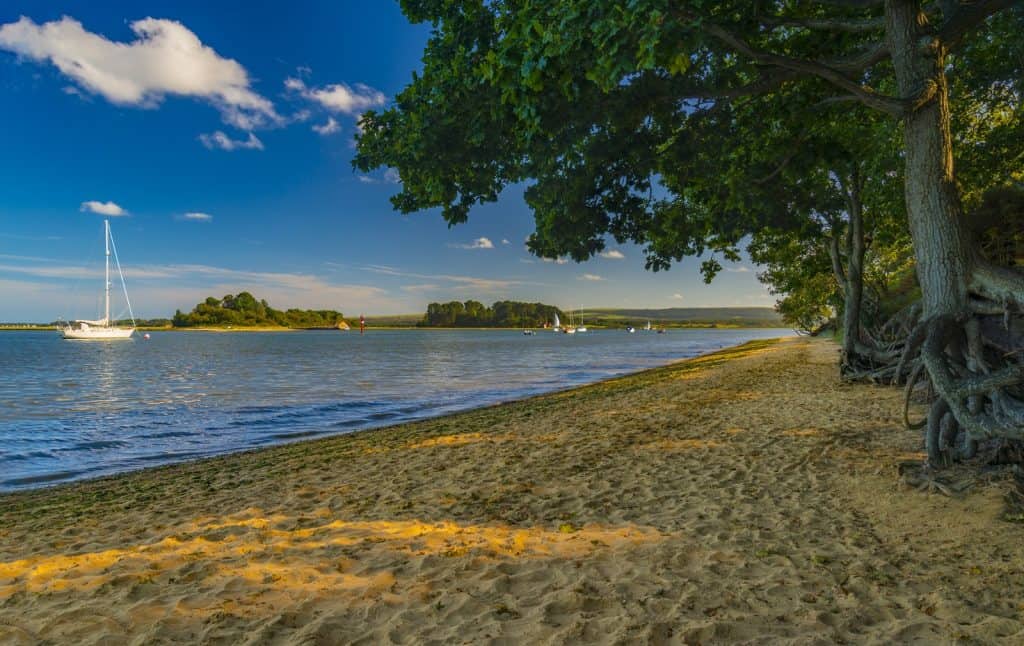 Isla de Brownsea