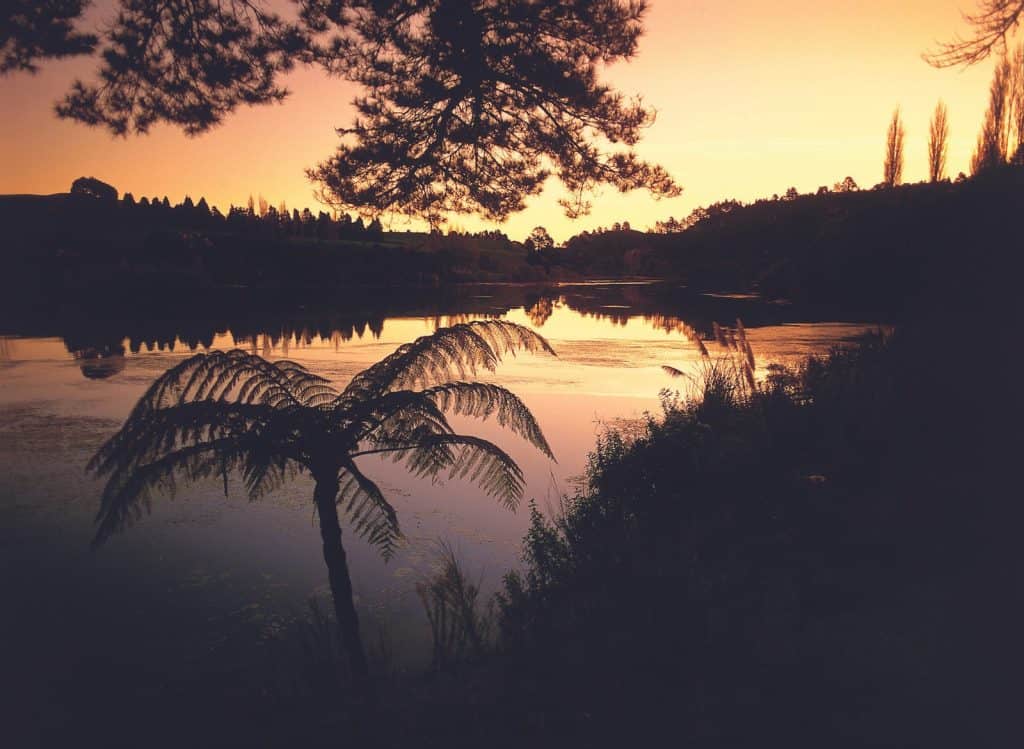 Karapiro Lake