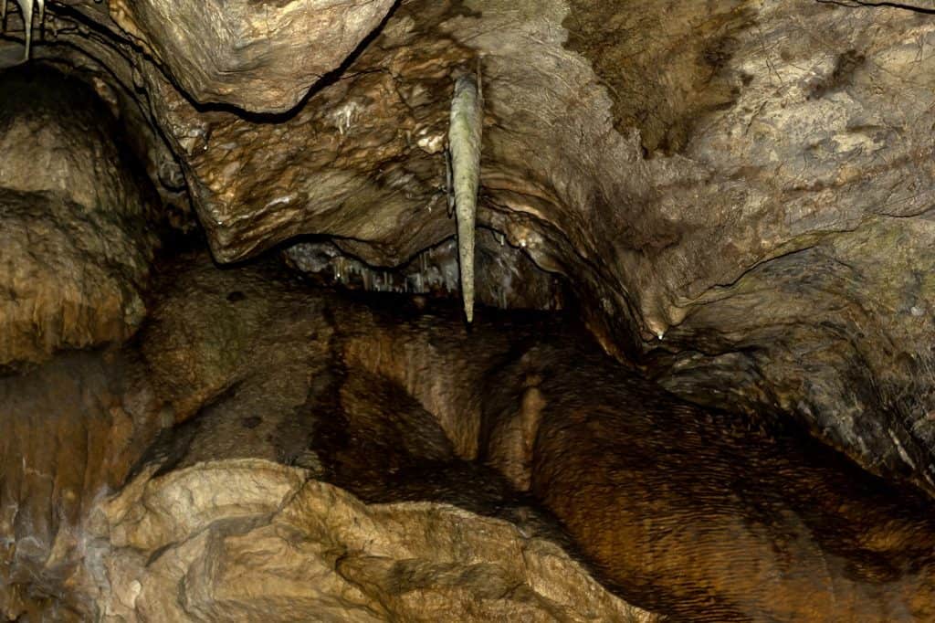 Cuevas Prehistóricas de Kents Cavern