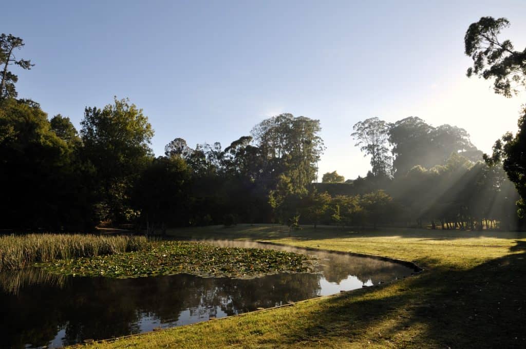 Lake Te Ko Utu