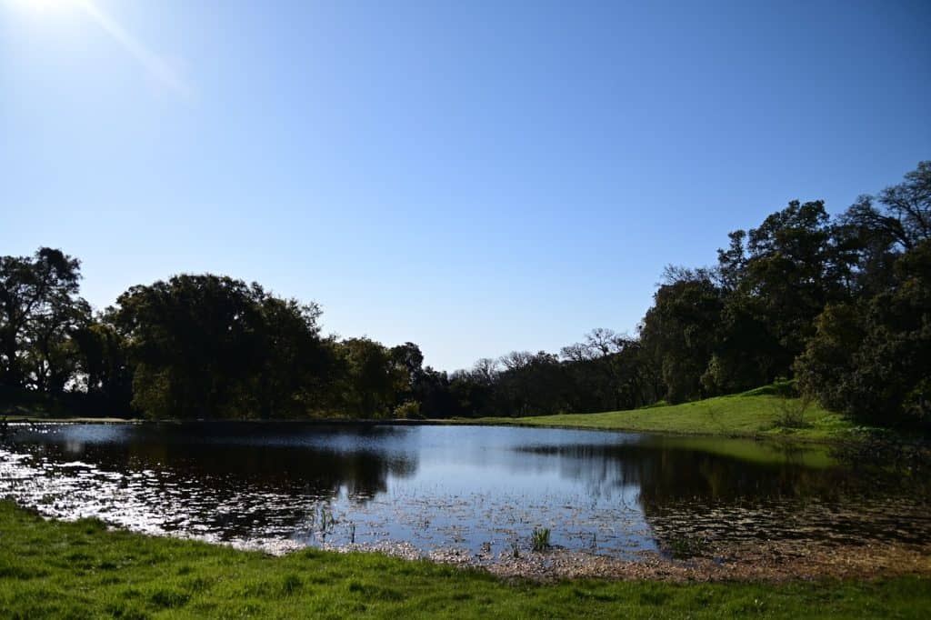 Lake Te Ko Utu