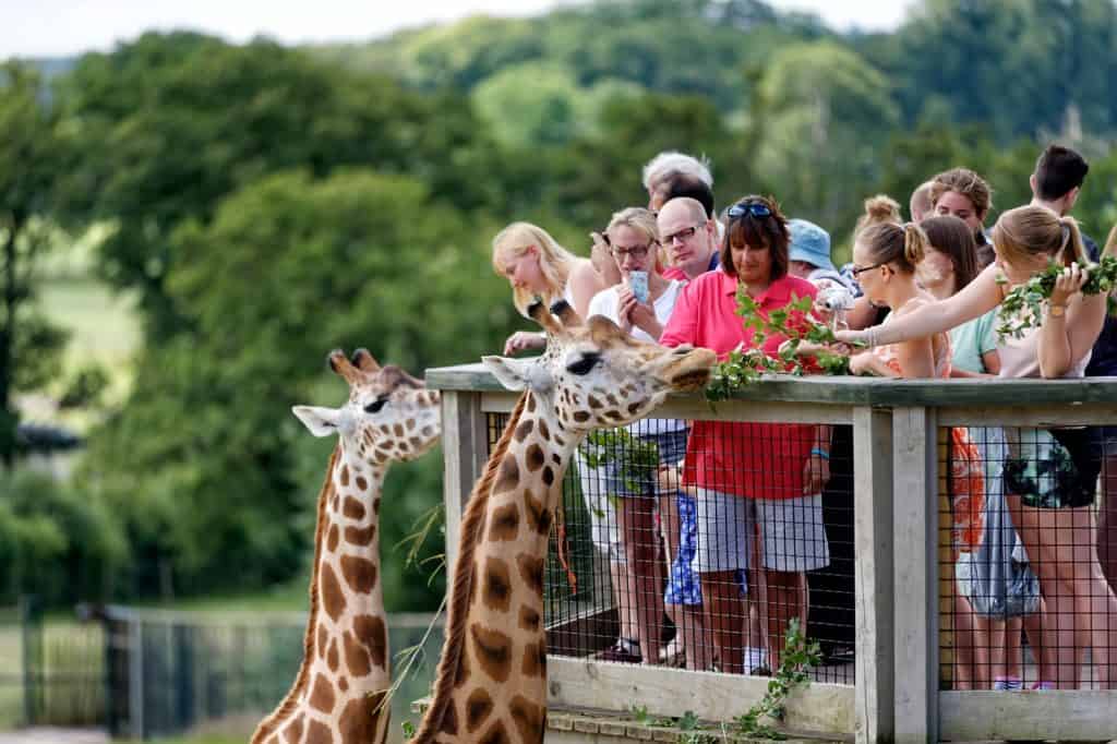 Longleat Safari Park