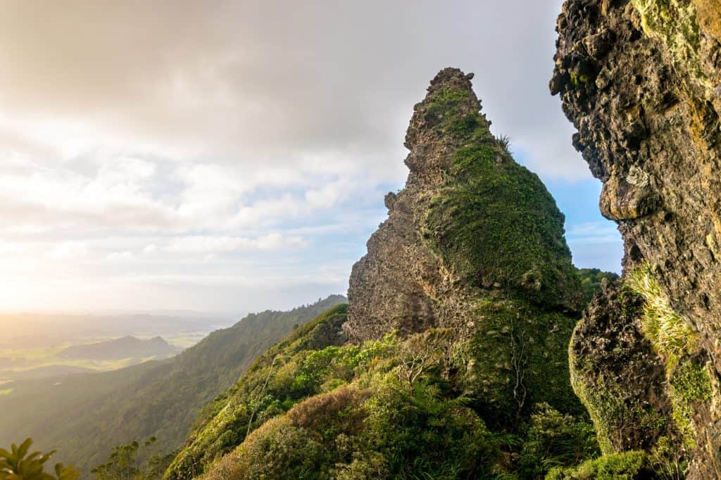 Manaia Mount