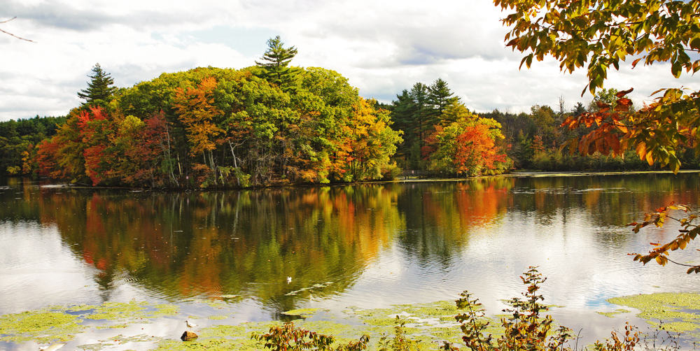 Massachusetts International Academy