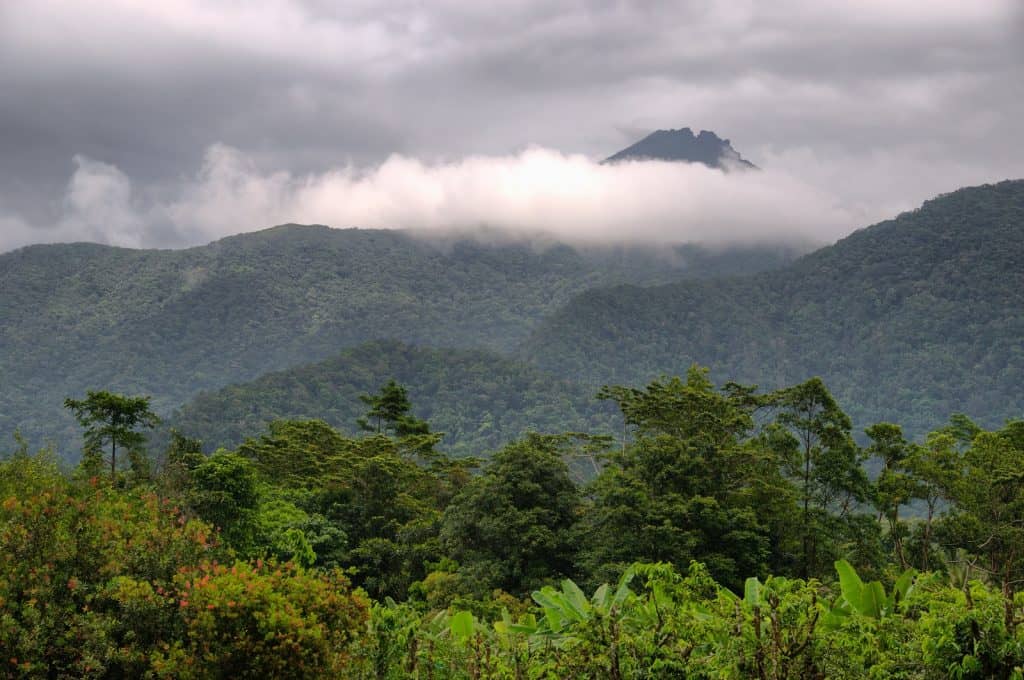 Rainforestation Nature Park