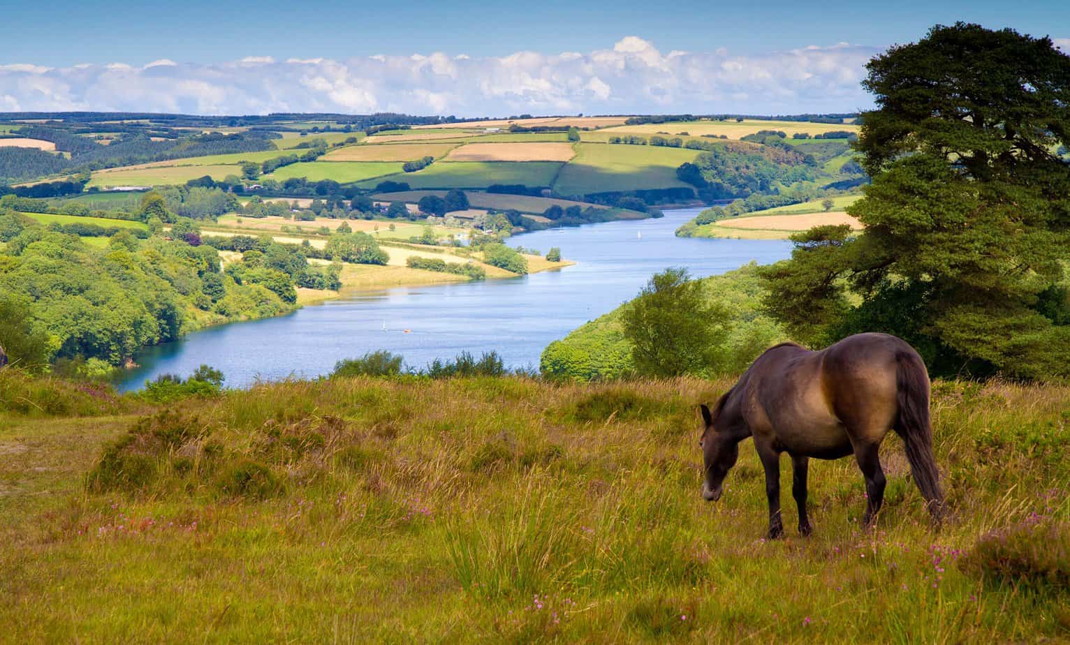 Parque nacional de Exmoor